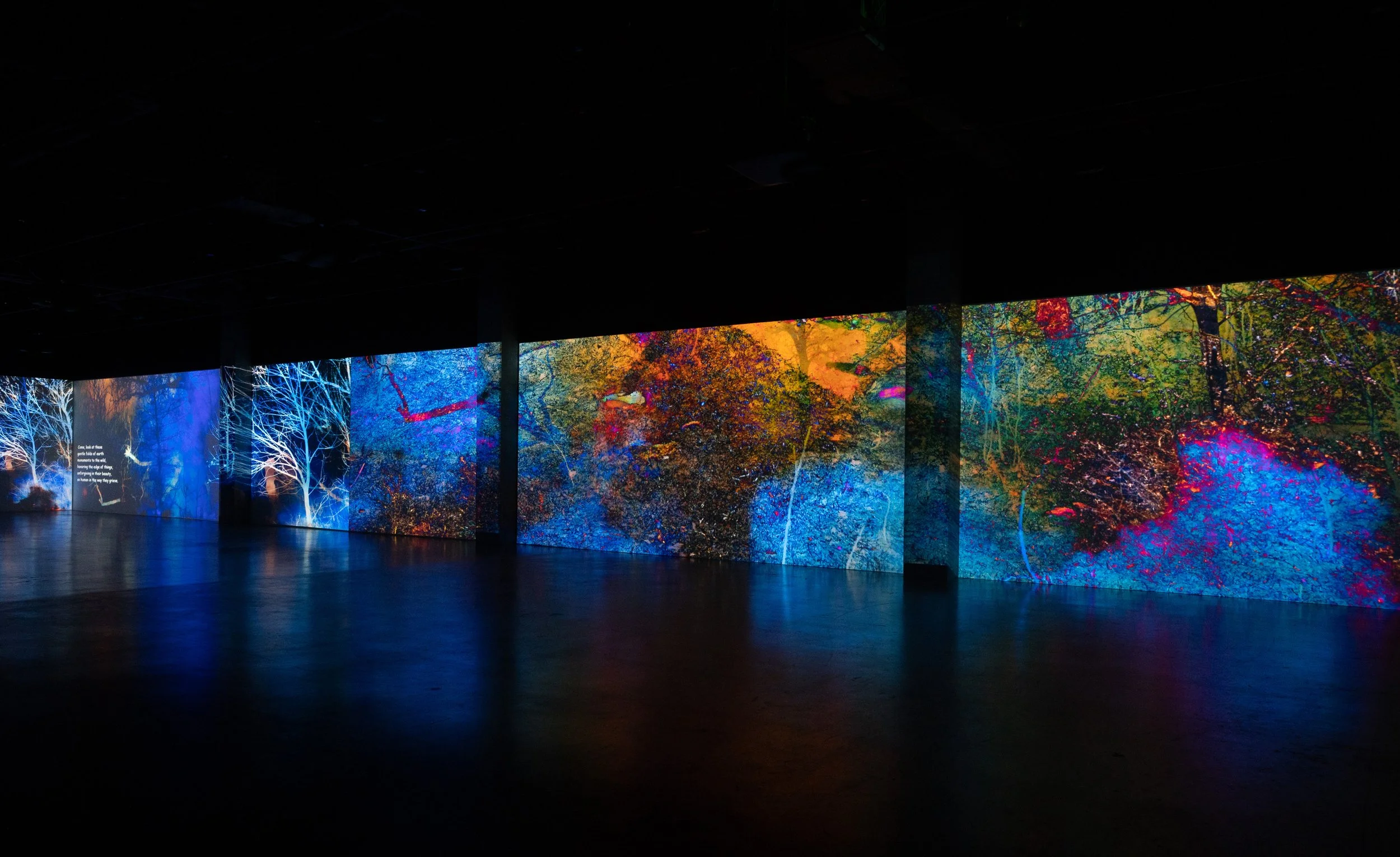 OK Parklands: A Meditation — Sarah Ahmad